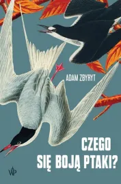 czego-sie-boja-ptaki-adam-zbyryt