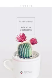 effatha-mala-szkola-przebaczania-piotr-slizewski