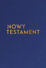 nowy-testament-z-infografikami-14x195cm-w-zlota