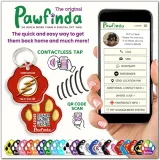 pawfinda-identyfikator-dla-psa-flash-lapa