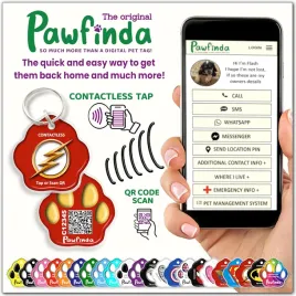 pawfinda-identyfikator-dla-psa-flash-lapa