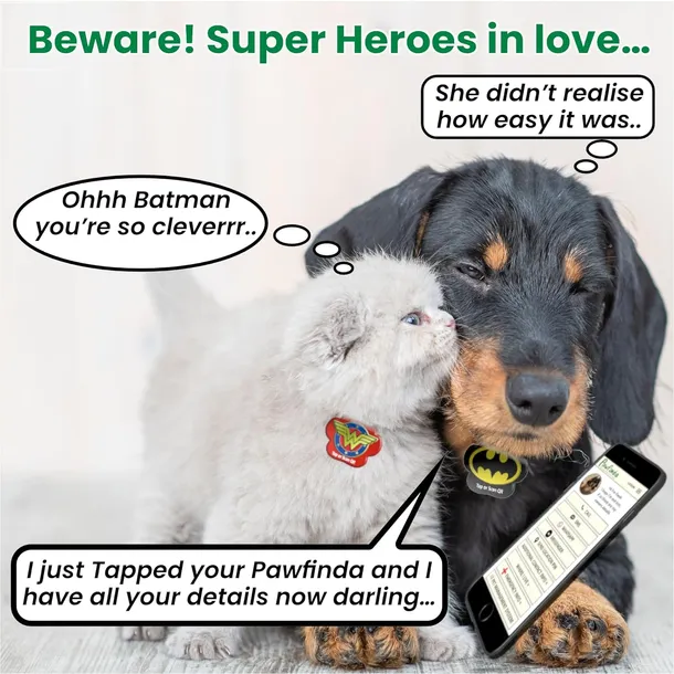 pawfinda-identyfikator-dla-psa-flash-lapa-kolor-inny