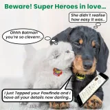 pawfinda-identyfikator-dla-psa-flash-lapa-kolor-inny