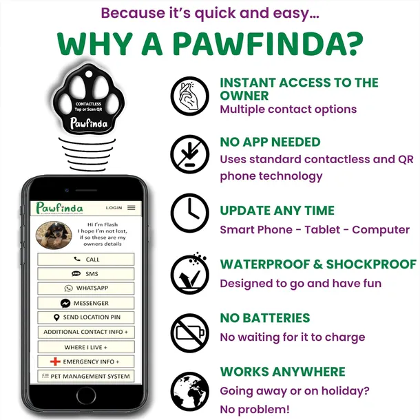 pawfinda-identyfikator-dla-psa-flash-lapa-rodzaj-z-grawerem