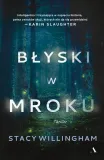 blyski-w-mroku-stacy-willingham