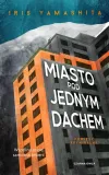 miasto-pod-jednym-dachem