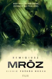 cienie-posrod-mroku-remigiusz-mroz