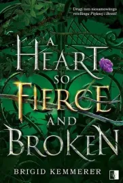 a-heart-so-fierce-and-broken-brigid-kemmerer