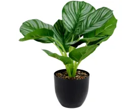 sztuczna-roslina-w-doniczce-dieffenbachia-30-cm