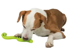 zabawka-na-przysmak-dla-psa-trixie-waz-zabawka-dla-psa-na-smakolyki