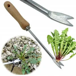 wyrywacz-do-chwastow-opielacz-chwastownik-wyrwichwast-na-mlecz-chwasty