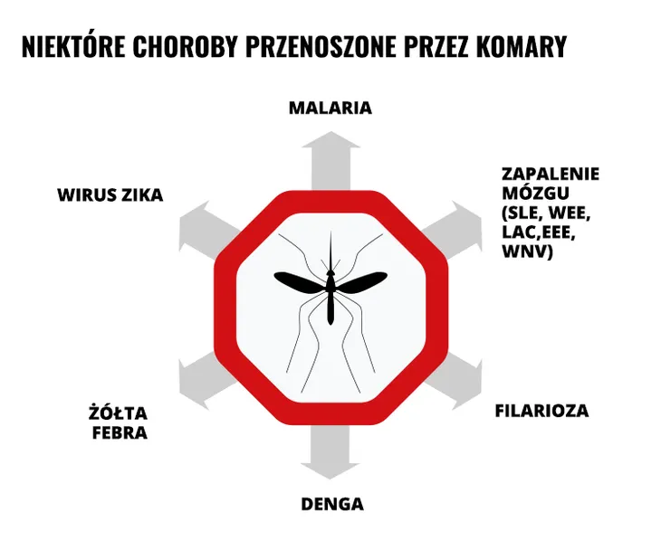 repelent-spray-mugga-50percent-deet-75-ml-stan-nowy