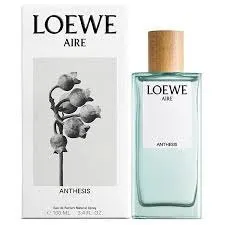 loewe aire anthesis