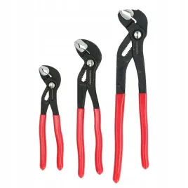 cegi-grzybkowe-energy-ne00684