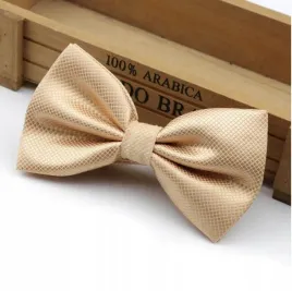 piekna-muszka-mucha-meska-bezowa