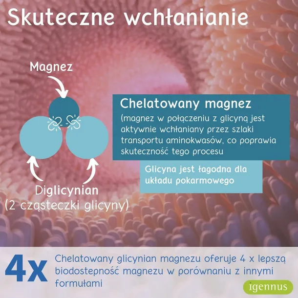 glicynian-magnezu-stan-nowy