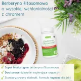 berberyna-fitosomowa-postac-kapsulki