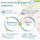 berberyna-fitosomowa-liczba-sztuk-60-szt