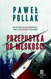 przepustka-do-meskosci-pawel-pollak