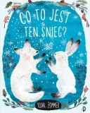 co-to-jest-ten-snieg