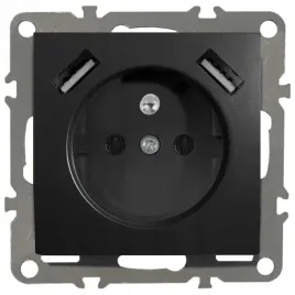 quadra-gniazdko-z-bolcem-2x-usb-do-ramek-230v-2-1a