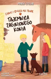 chaos-i-spolka-na-tropie-tajemnica-zaginionego