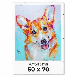 antyrama-plexi-na-puzzle-ok-1000el-plakat-50x70