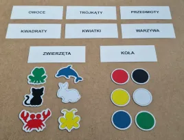 zestaw-dydaktyczny-kategoryzacja-arson