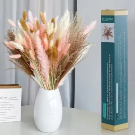 trawa-ozdobna-pampasowa-dekoracyjna-suszona-pampasy-wazonu-bukiet