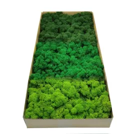 mech-chrobotek-dekoracyjny-3-kolory