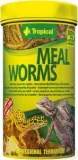 tropical-meal-worms-100ml
