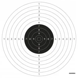 tarcze-strzeleckie-psp-pistolet-sportowy-50-szt