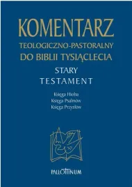 komentarz-teologiczno-pastoralny-st-t-4