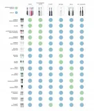 koncowki-seysso-basic-professional-pink-paradise-liczba-koncowek-2