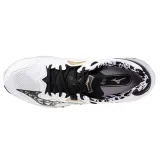 v1ga240041-marka-mizuno