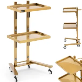 wozek-pomocnik-kosmetyczny-fryzjerski-metalowy-2-polki-40-x-86-x-50-cm-zl
