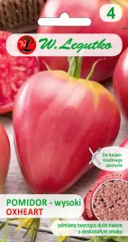 pomidor-malinowy-wysoki-bawole-serce-oxheart-w-legutko-02-g
