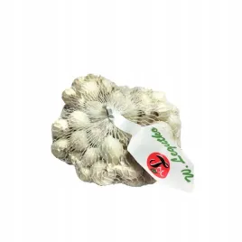 cebula-dymka-white-snowball-250-g-do-ogrodu-i-doniczki