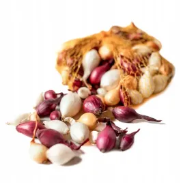 cebula-dymka-mix-kolorow-250-g-w-legutko-zolta-biala-czerwona