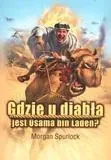 gdzie-u-diabla-jest-osama-bin-laden