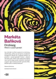 drobiazg-market-bankova