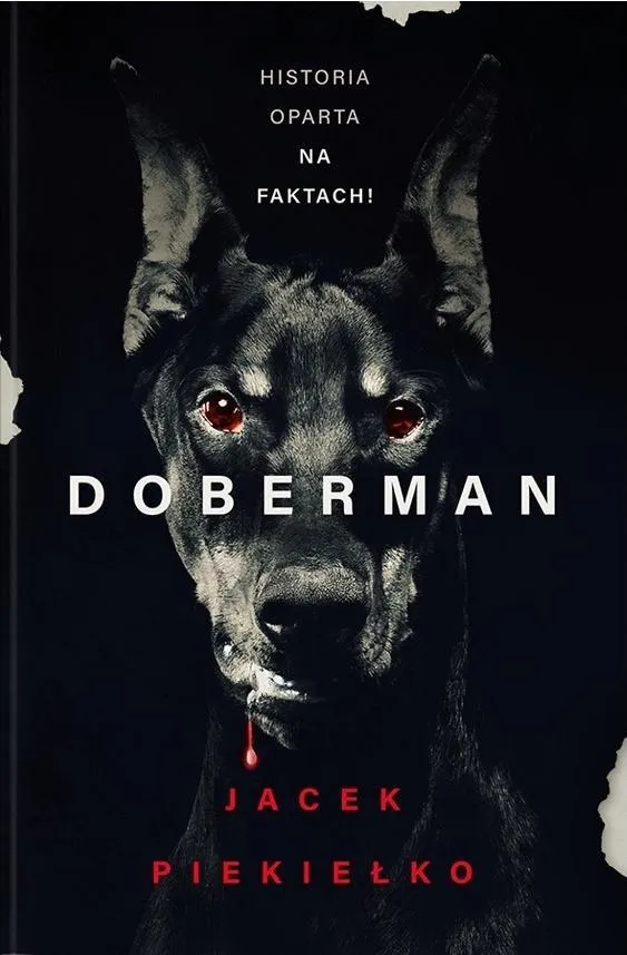 doberman-jacek-piekielko