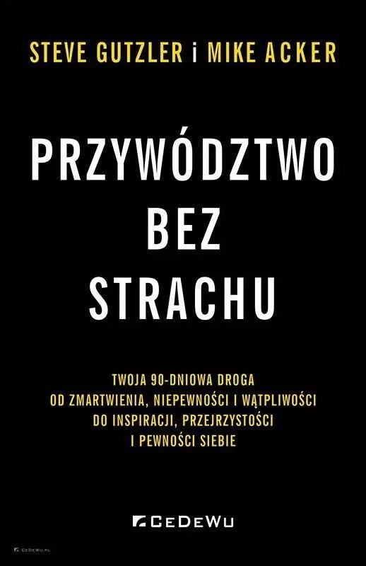 przywodztwo-bez-strachu-twoja-90-dniowa-droga