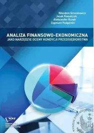 analiza-finansowoekonomiczna-jako-narzedzie