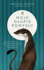 moje-glupie-pomysly