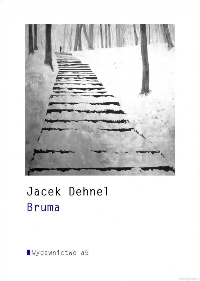 bruma-jacek-dehnel