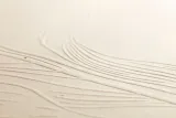 notes-a6-64k-tulip-paper-material-inny