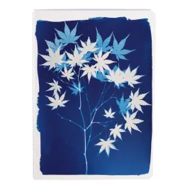 zeszyt-a5-32k-cyanotype-mix-wzorow