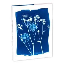 kartki-i-koperty-8-zest-cyanotype