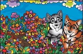 segregator-colorvelvet-pieski